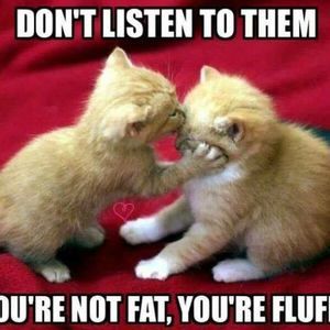 Meet your Posher, Melanie